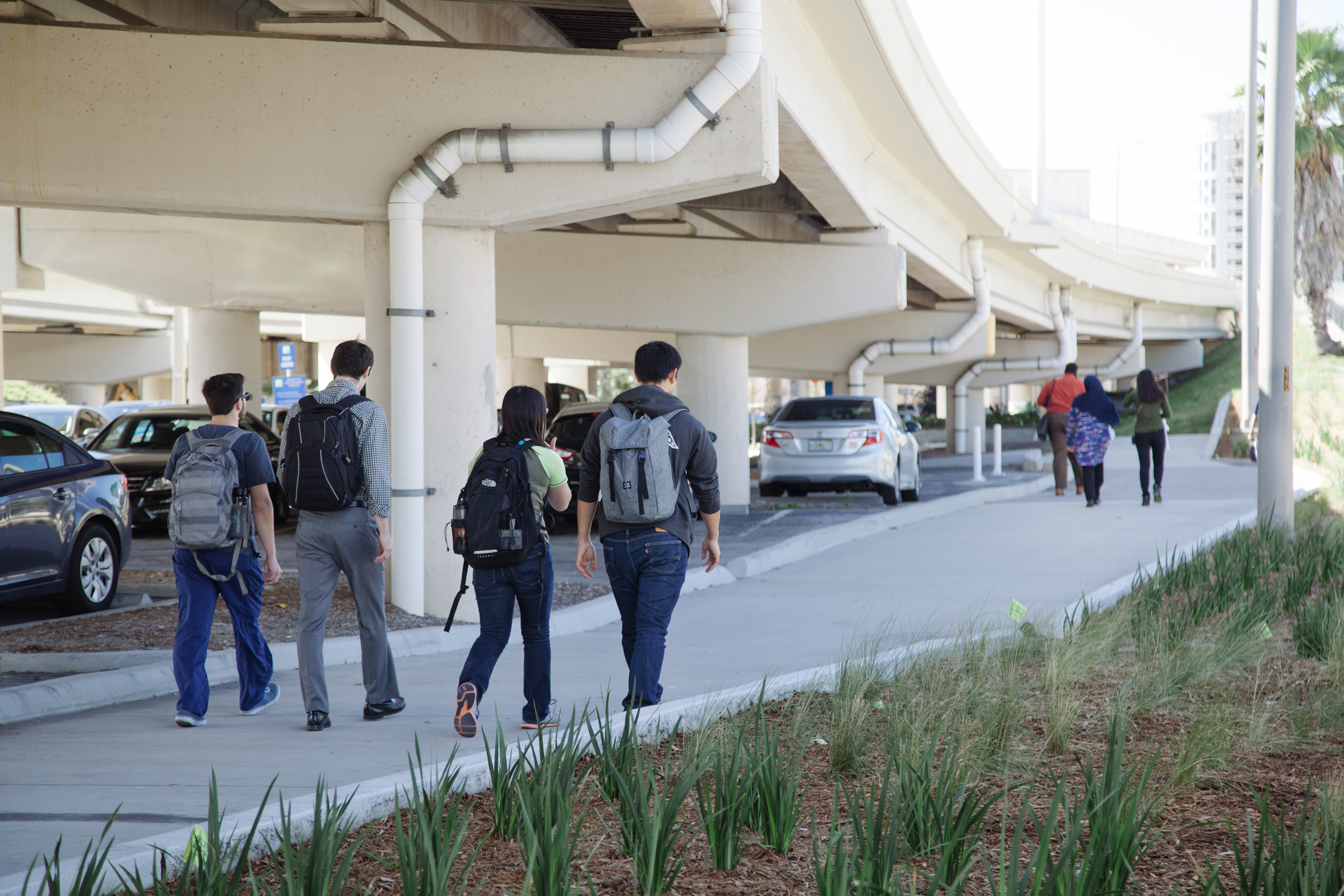 Taking Steps for Pedestrian Safety - Tampa Hillsborough Expressway Authority