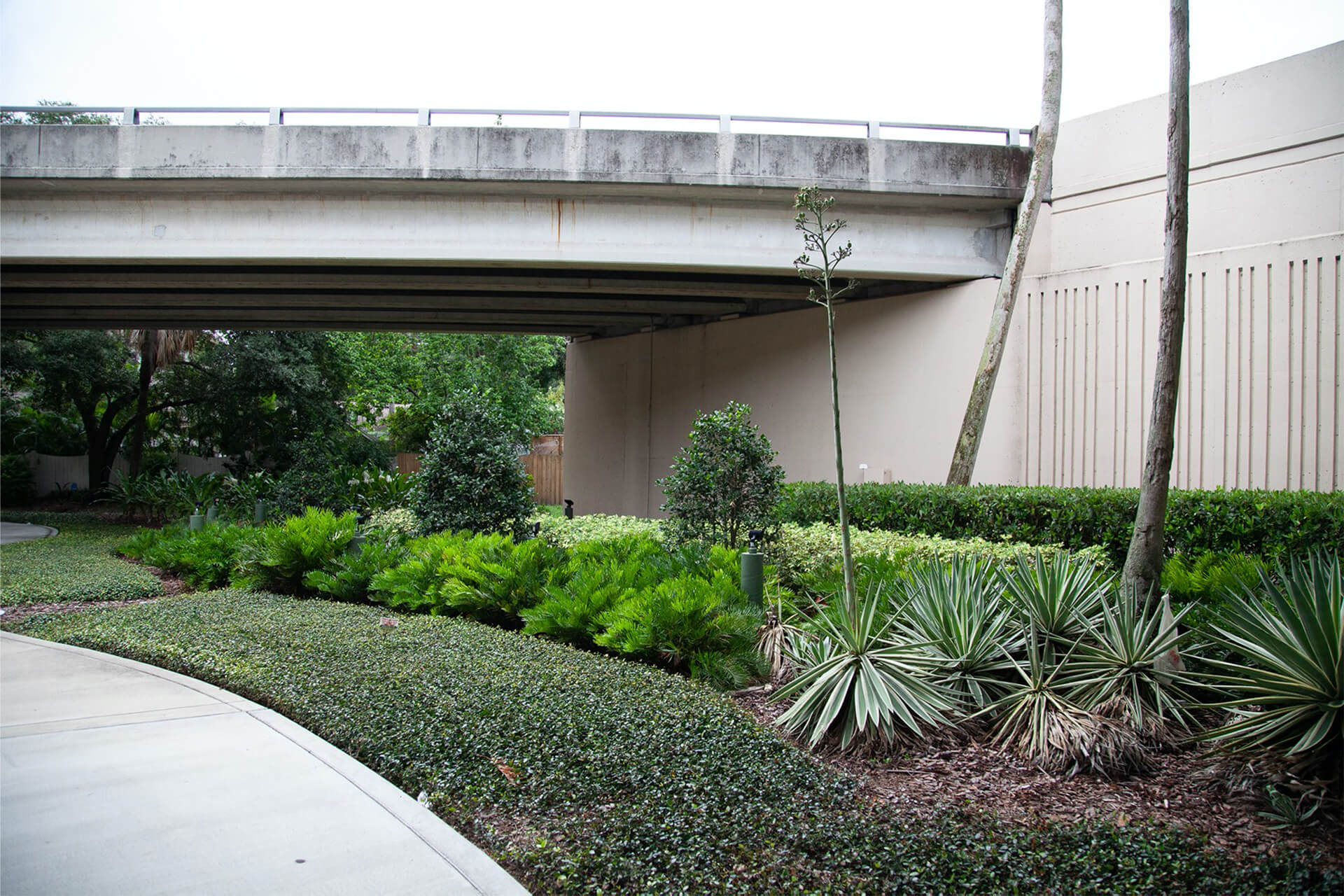 Swann Underpass