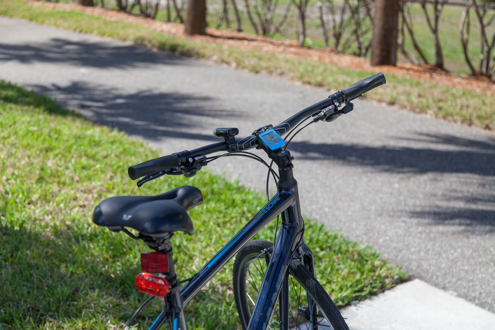 March is Florida Bicycle Month! Bike the Selmon Greenway - Tampa