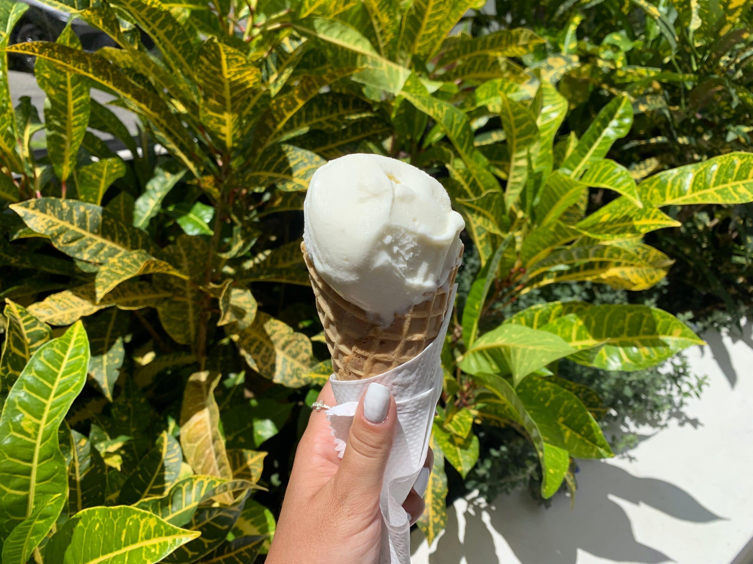 Celebrate National Ice Cream Month and Day on the Selmon Greenway image